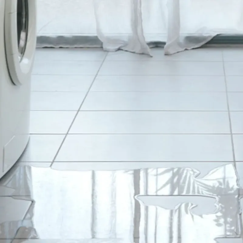 Appliance Leak Cleanup in Bellevue, MI