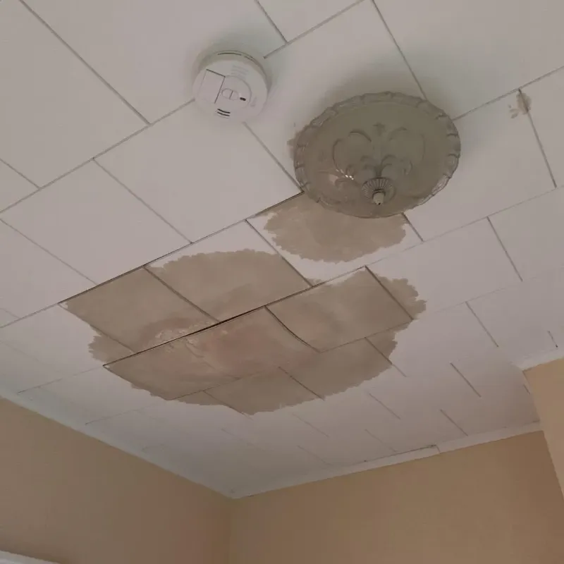 Ceiling Water Damage Repair in Bellevue, MI