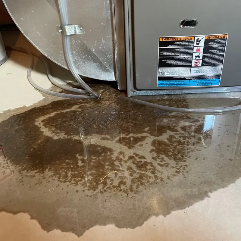 Pipe Burst and Leak Restoration in Bellevue, MI