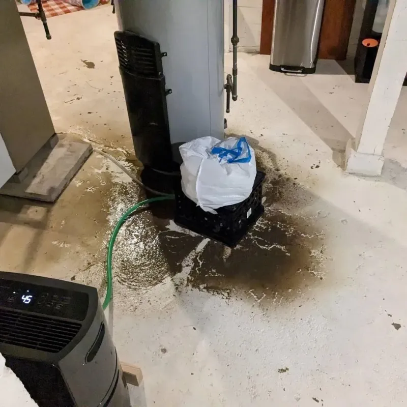 Sewage Backup Cleanup Service in Bellevue, MI